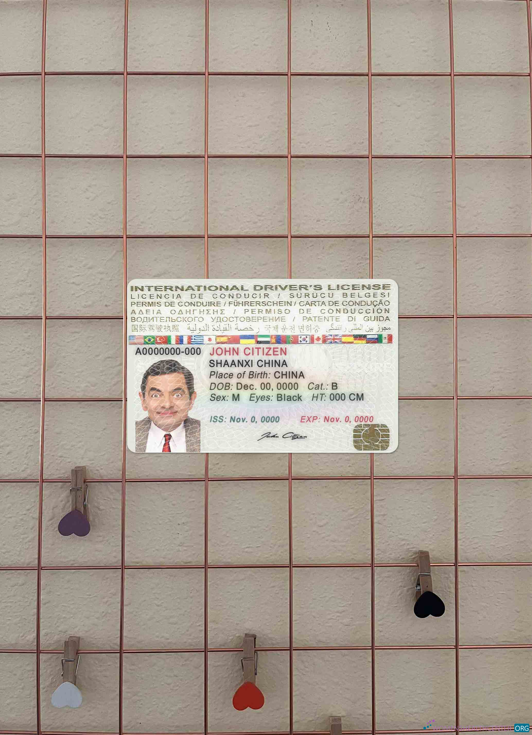 Download International driver's license photolook FRONT Photoshop template